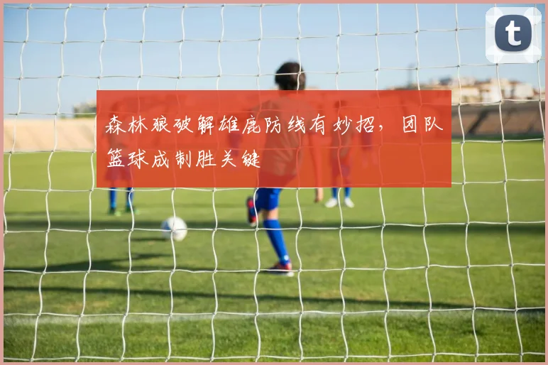 森林狼破解雄鹿防线有妙招，团队篮球成制胜关键