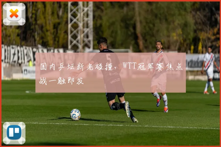 国内乒坛新老碰撞，WTT冠军赛焦点战一触即发